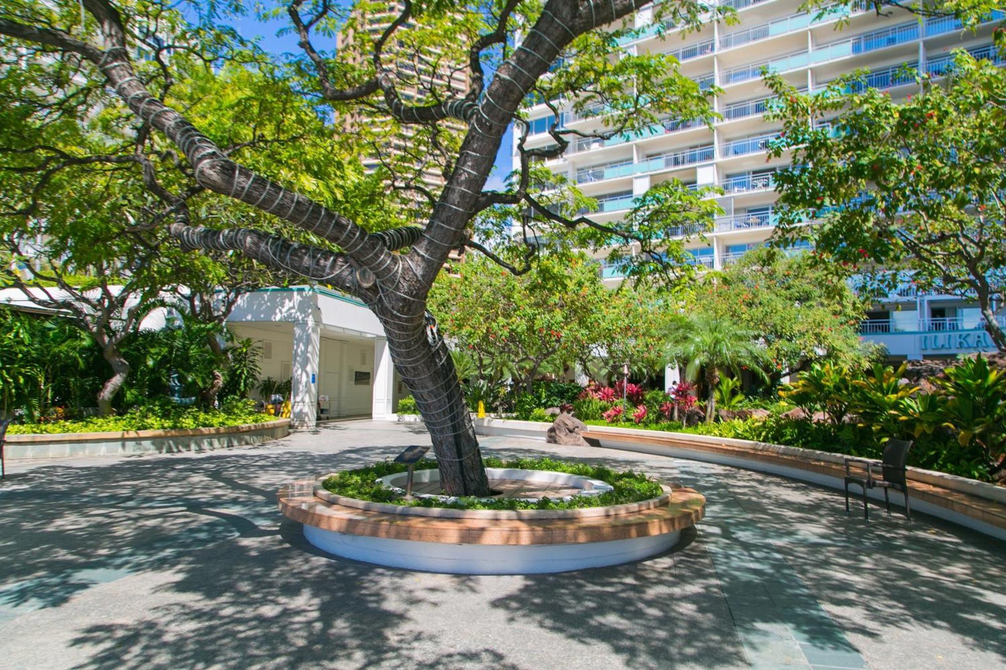 Ilikai Tower 1533 Yacht Harbor View 1Br Leilighet Honolulu Eksteriør bilde